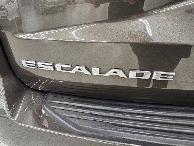 2021 Cadillac Escalade Premium Luxury Platinum