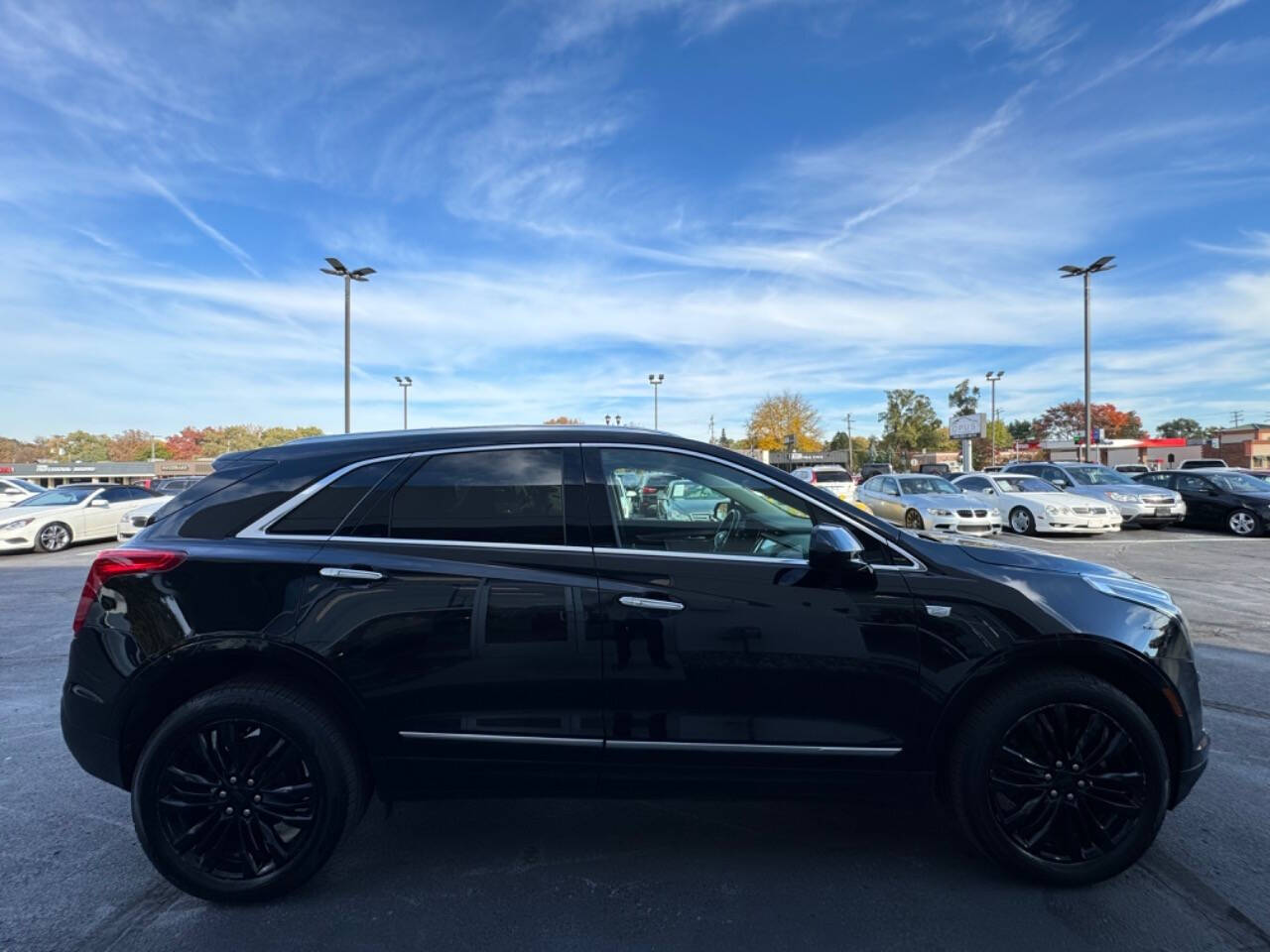 2019 Cadillac XT5 for sale at Opus Motorcars in Utica, MI