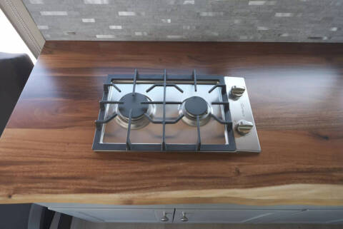 2018 Blue Bird Vision