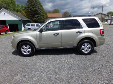 2010 Ford Escape XLT