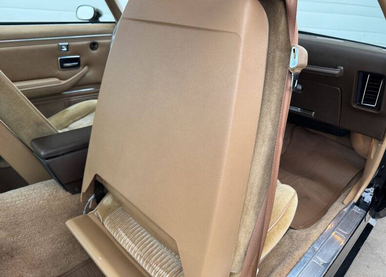 1981 Pontiac Firebird Trans Am