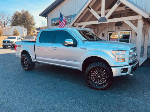 2016 Ford F-150 for sale at AGM Auto Sales in Shippensburg PA