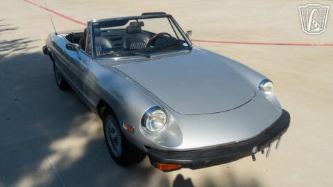 1976 Alfa Romeo Spider