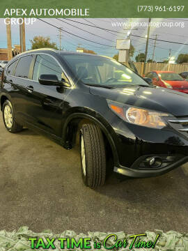 2013 Honda CR-V for sale at APEX AUTOMOBILE GROUP in Roselle IL