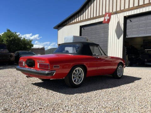 1972 Alfa Romeo Spider