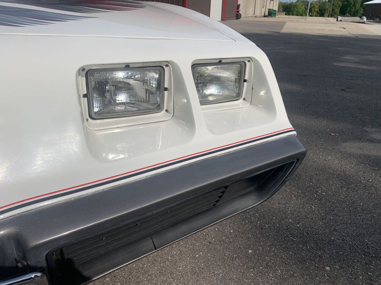 1980 Pontiac Trans Am 15