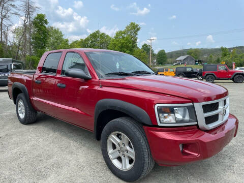 2010 Dodge Dakota for sale at Brush & Palette Auto in Candor NY