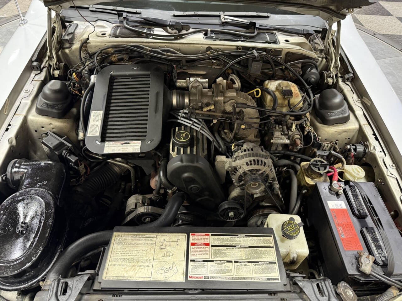 1988 Ford Thunderbird 32