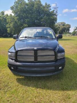 2003 Dodge Ram Pickup 1500 for sale at AM Auto Sales in Orlando FL