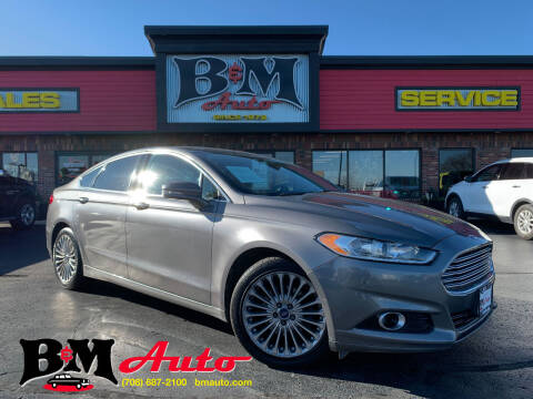 2014 Ford Fusion for sale at B & M Auto Sales Inc. in Oak Forest IL