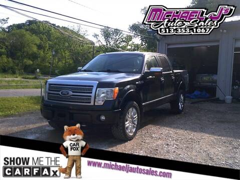 2010 Ford F-150 for sale at MICHAEL J'S AUTO SALES in Cleves OH