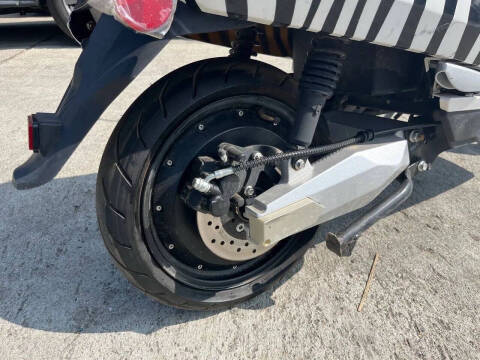 2020 Zebra E-bike