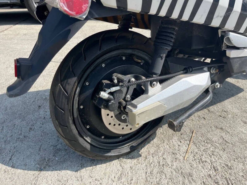 2020 Zebra E-bike