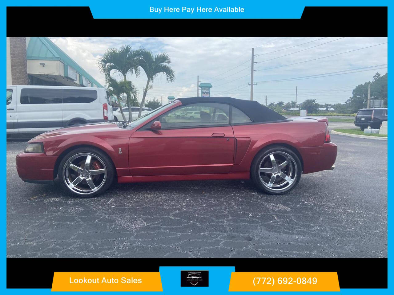 2003 Ford Mustang SVT Cobra for sale at Lookout Auto Sales in Stuart, FL