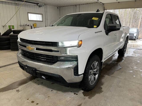 2019 Chevrolet Silverado 1500 for sale at Monster Motors in Michigan Center MI