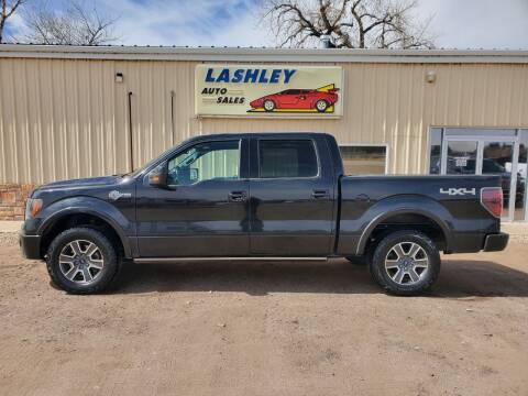 2011 Ford F-150 for sale at Lashley Auto Sales in Mitchell NE