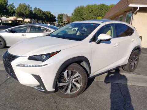 2020 Lexus NX 300