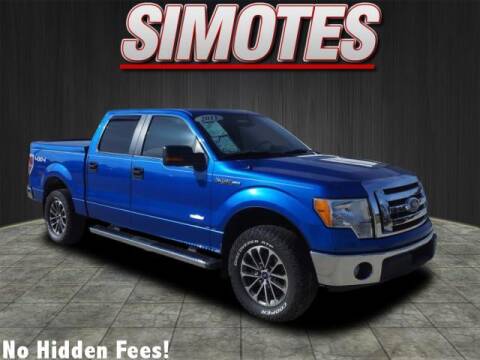 2011 Ford F-150 for sale at SIMOTES MOTORS in Minooka IL