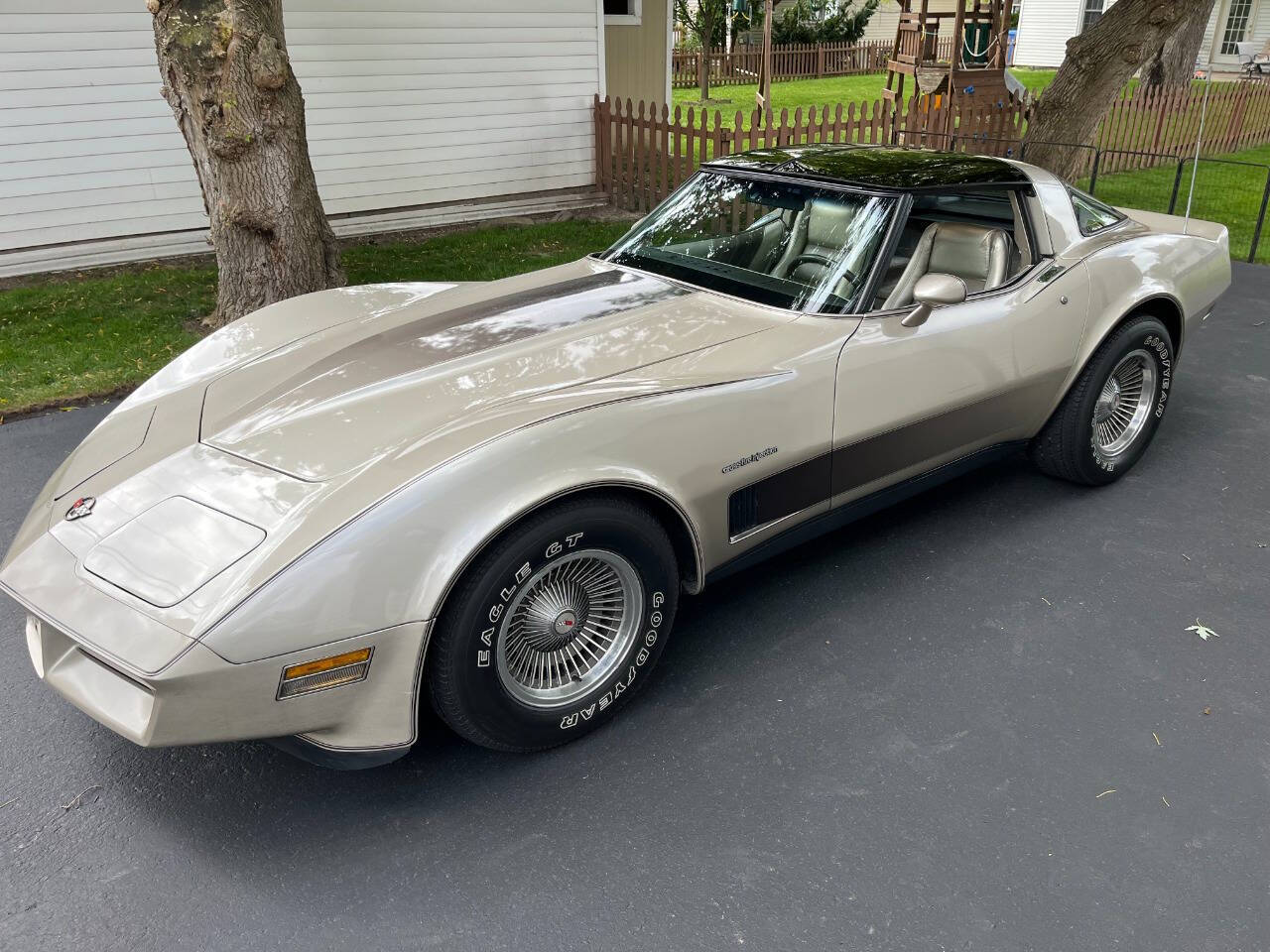 1982 Chevrolet Corvette 9