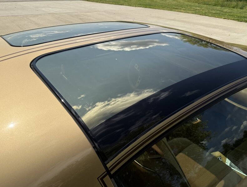 1978 Pontiac Trans Am