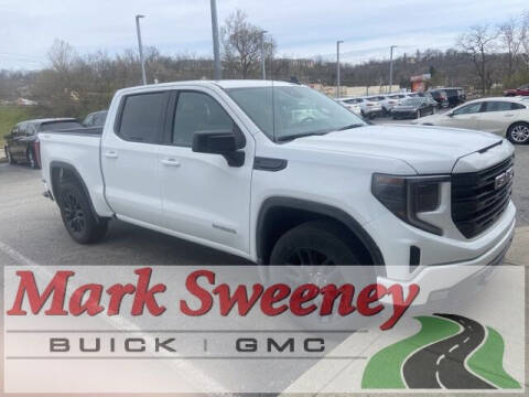 2020 GMC Sierra 1500 for sale at Mark Sweeney Buick GMC in Cincinnati OH