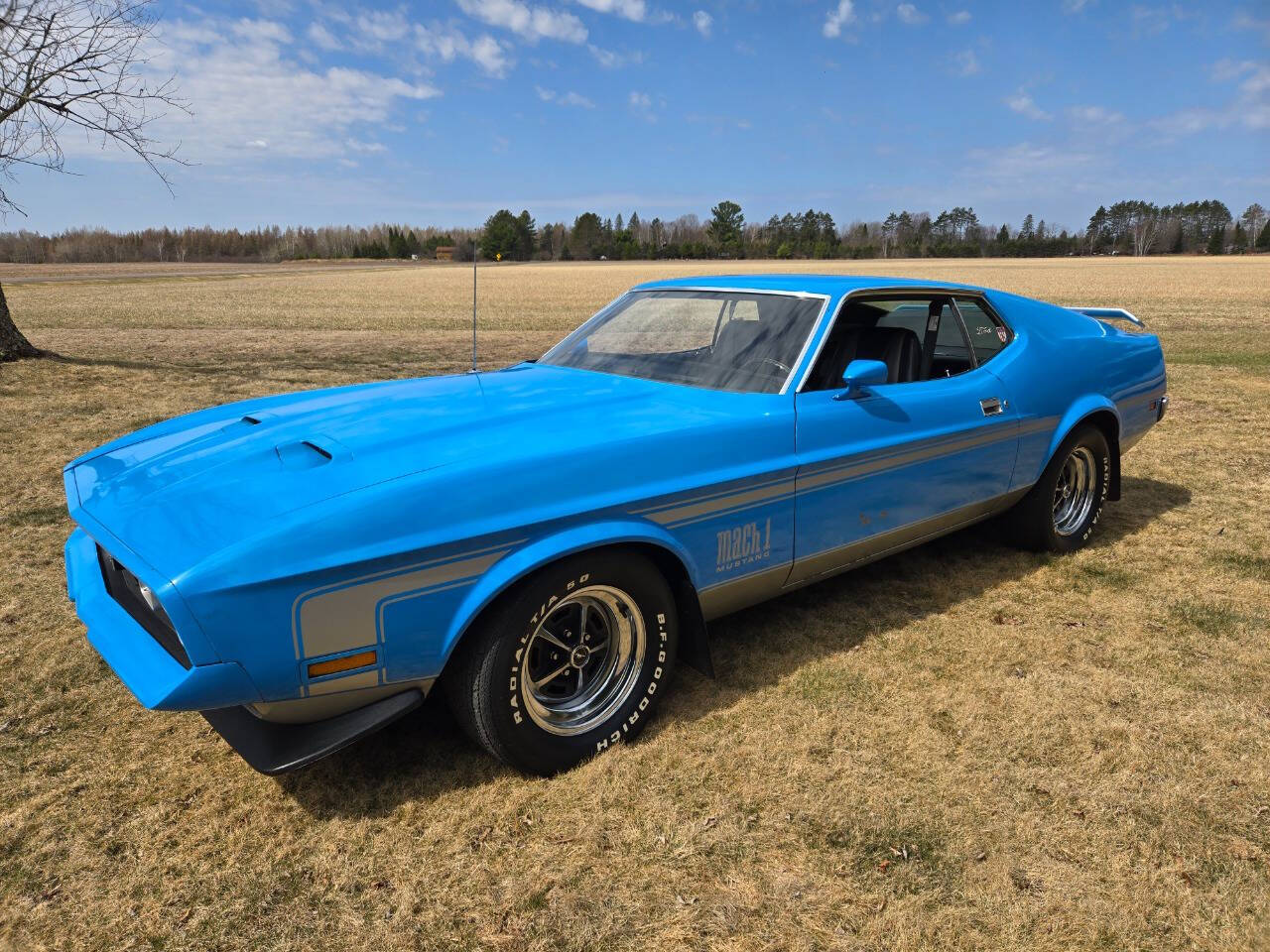 1971 Ford Mustang 13