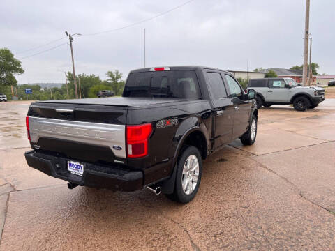 2019 Ford F-150 Platinum