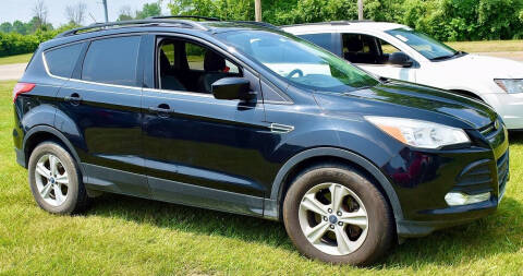 2014 Ford Escape for sale at PINNACLE ROAD AUTOMOTIVE LLC in Moraine OH