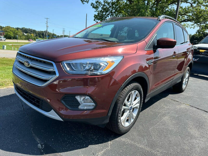 2018 Ford Escape for sale at Blake Hollenbeck Auto Sales in Greenville MI
