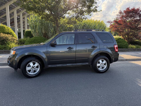 2009 Ford Escape XLT