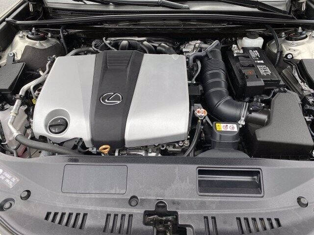 2019 Lexus ES 350 Luxury