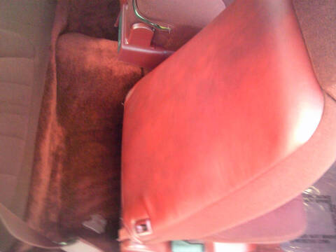 1985 Ford Thunderbird