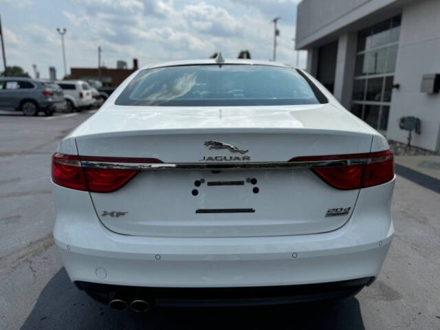 2017 Jaguar XF for sale at Opus Motorcars in Utica, MI