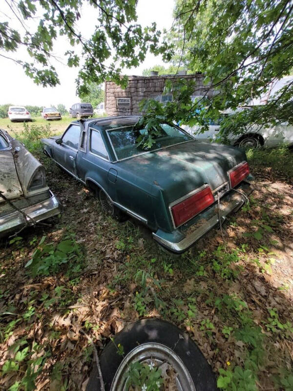 1979 Ford Thunderbird