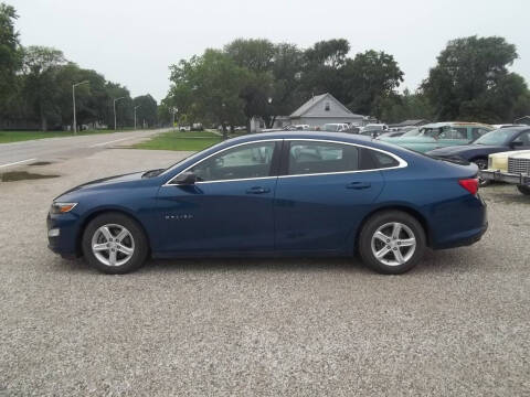 2019 Chevrolet Malibu LS Fleet