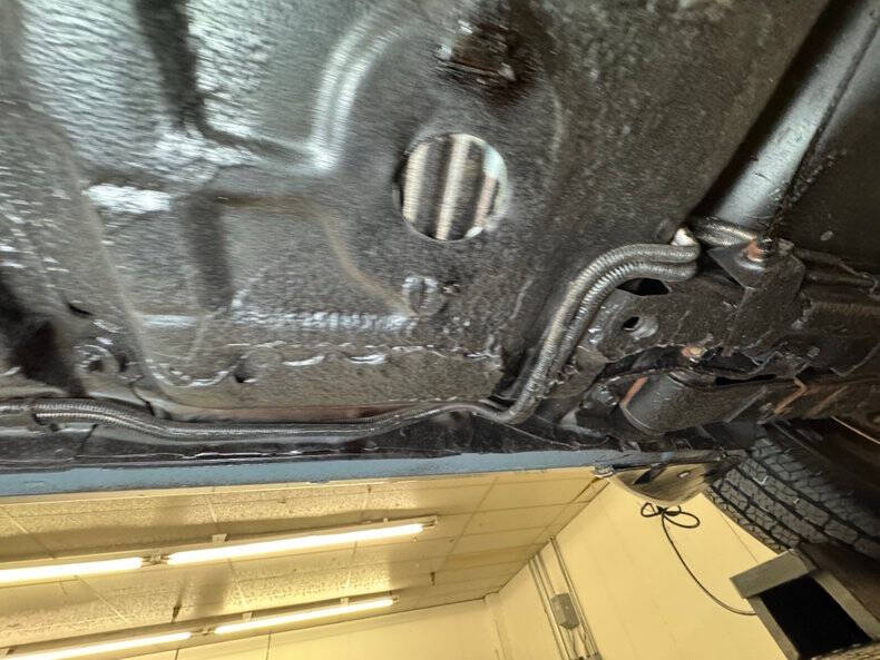 1981 Pontiac Firebird Trans Am