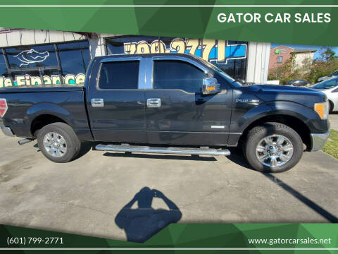 2011 Ford F-150 for sale at Gator Car Sales in Picayune MS