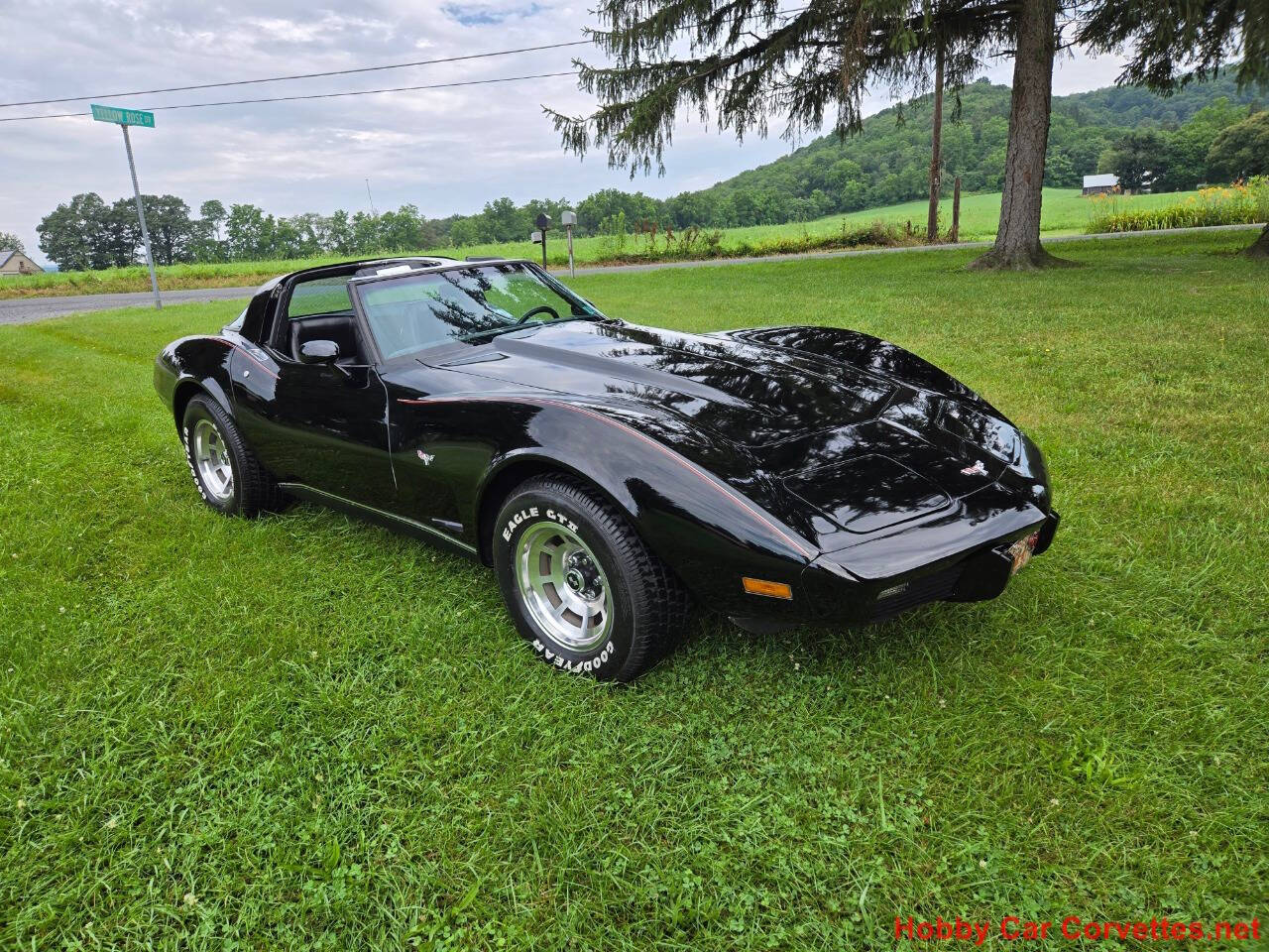 1979 Chevrolet Corvette 9