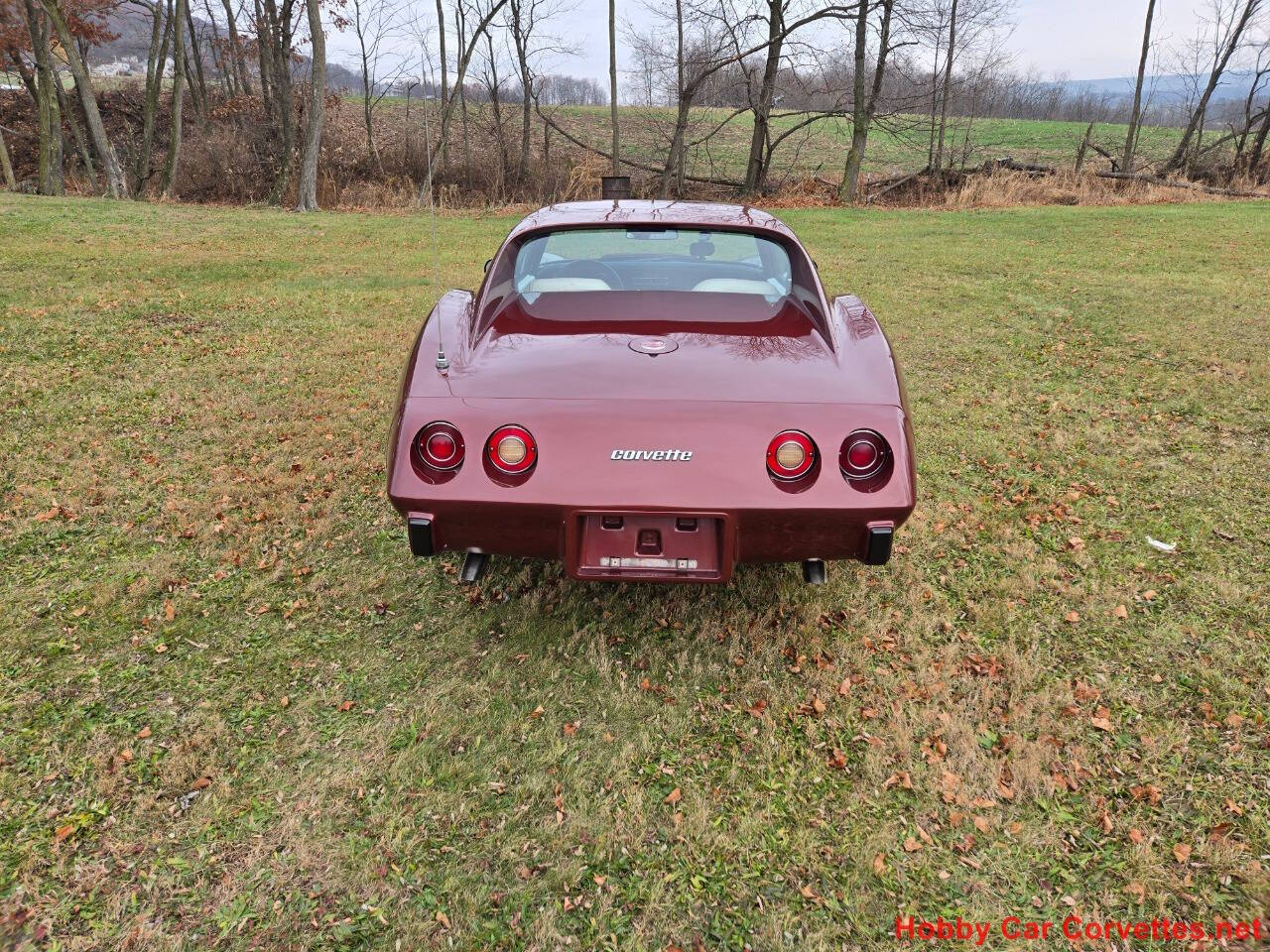 1976 Chevrolet Corvette 5