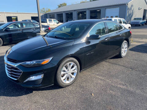 2019 Chevrolet Malibu for sale at Blake Hollenbeck Auto Sales in Greenville MI