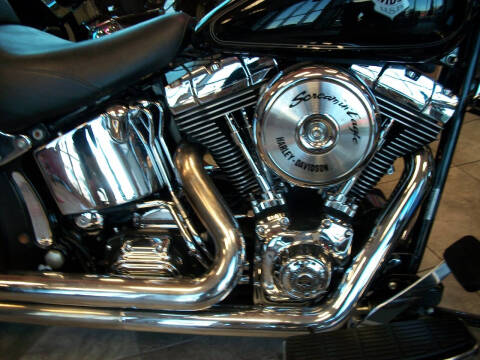 2004 Harley-Davidson FLSTF FATBOY