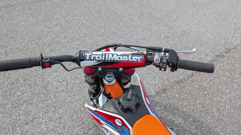 2025 TrailMaster SK110 ES