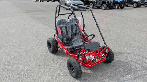 2025 TrailMaster Mini XRX R+