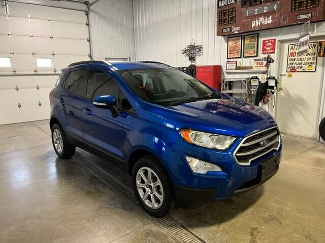 2019 Ford EcoSport for sale at Robin's Truck Sales in Gifford IL