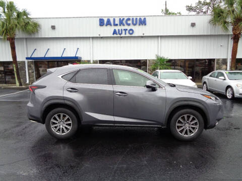 2016 Lexus NX 200t for sale at BALKCUM AUTO INC in Wilmington NC