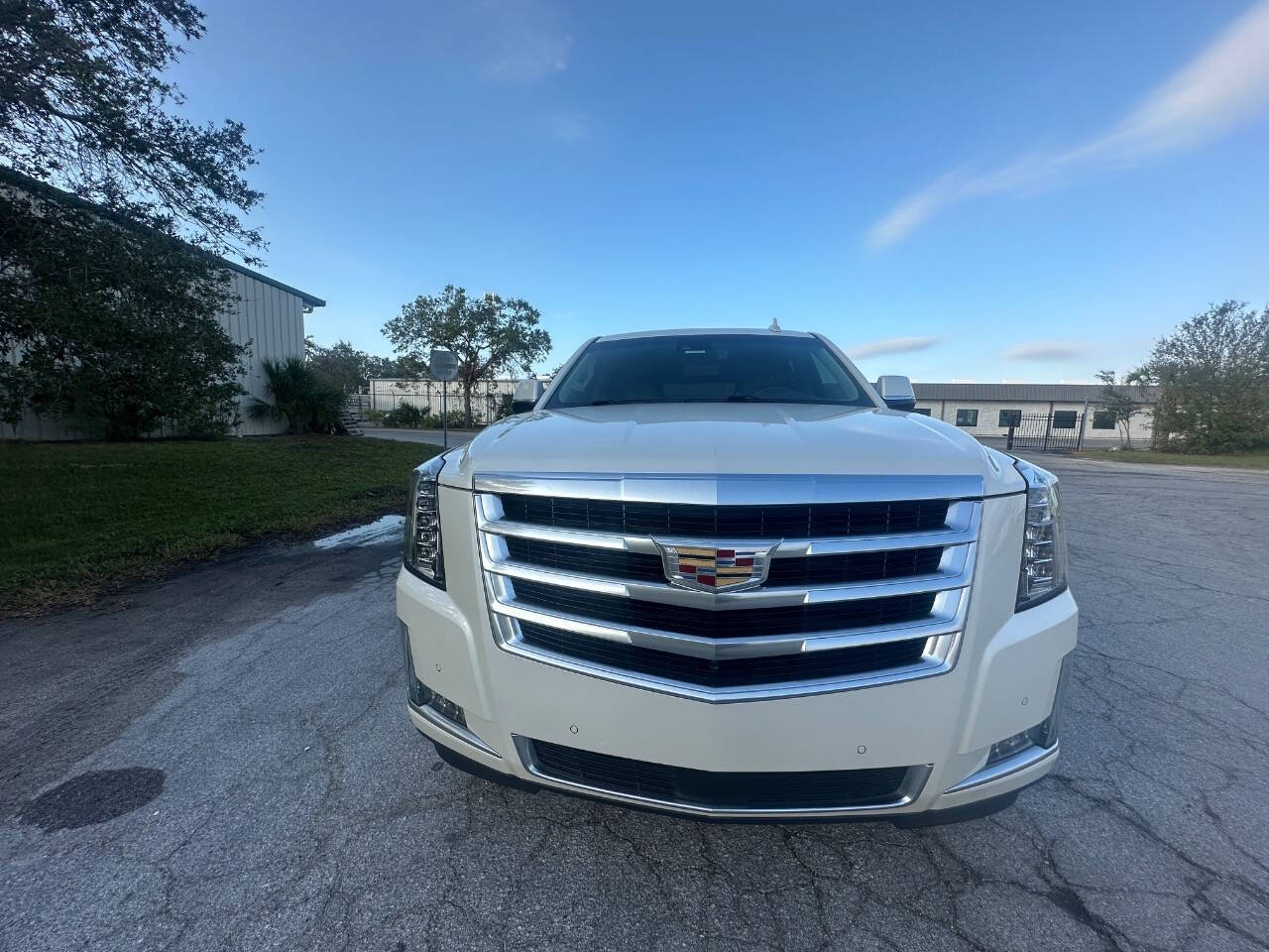 2015 Cadillac Escalade for sale at Rubi Motorsports in Sarasota, FL