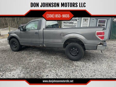 2011 Ford F-150 for sale at DON JOHNSON MOTORS LLC in Lisbon OH