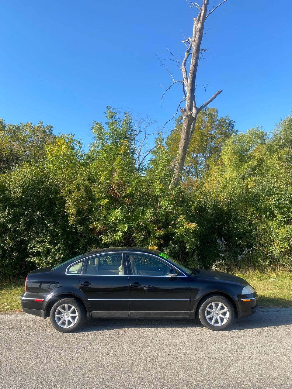 2004 Volkswagen Passat for sale at Endless auto in Blue Island, IL