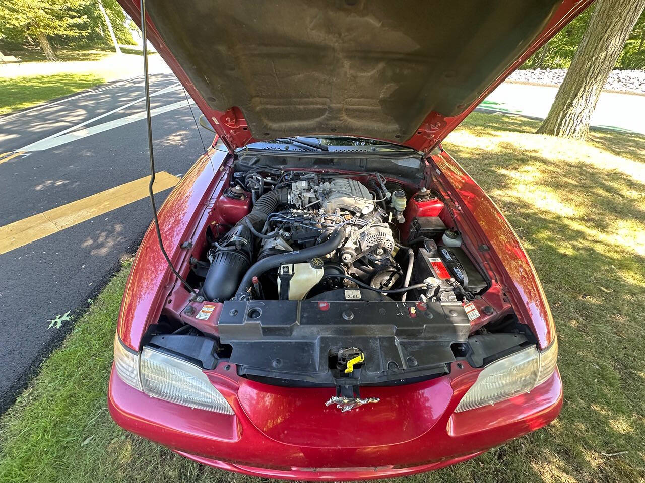 1998 Ford Mustang for sale at Froggy Cars LLC in Hamburg, NJ