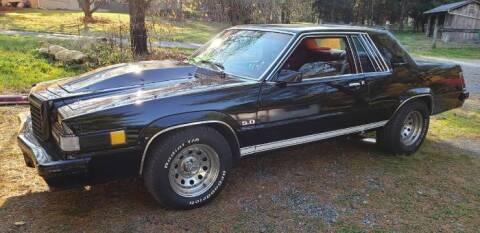 1980 Ford Thunderbird for sale at Classic Car Deals in Cadillac MI